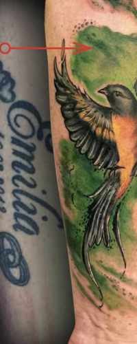 Damian.Cover_.up_.tattoo.10