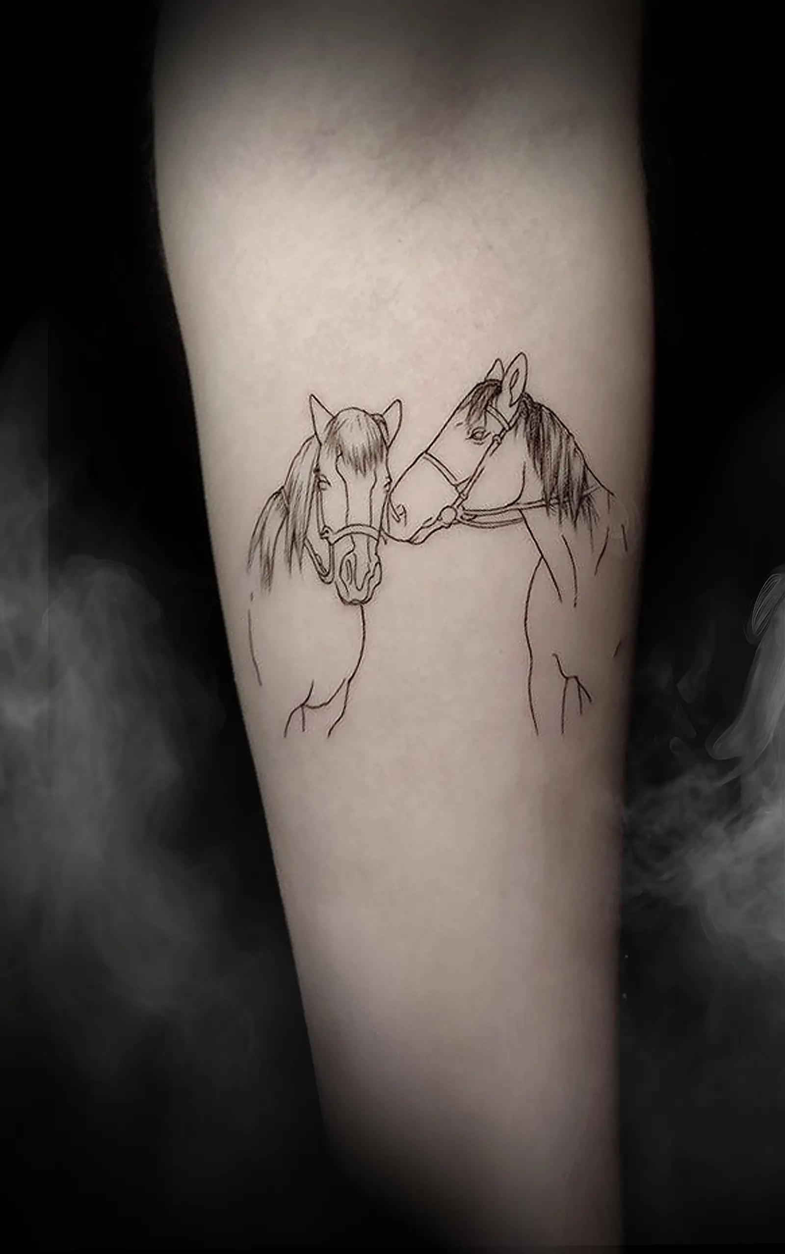 Line art tetování koně